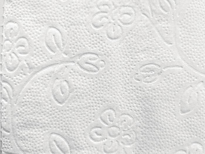 Toilettenpapier Racon Premium 3-lagig 64 RL à 250 Bl.RACON