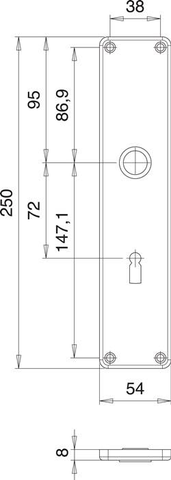 Technische Zeichnung einer Türgriffplatte. Abmessungen sind gekennzeichnet: 250 mm Höhe, 72 mm Abstand zwischen den Schrauben und 147,1 mm von der oberen Bohrung zum Schlüsselloch.