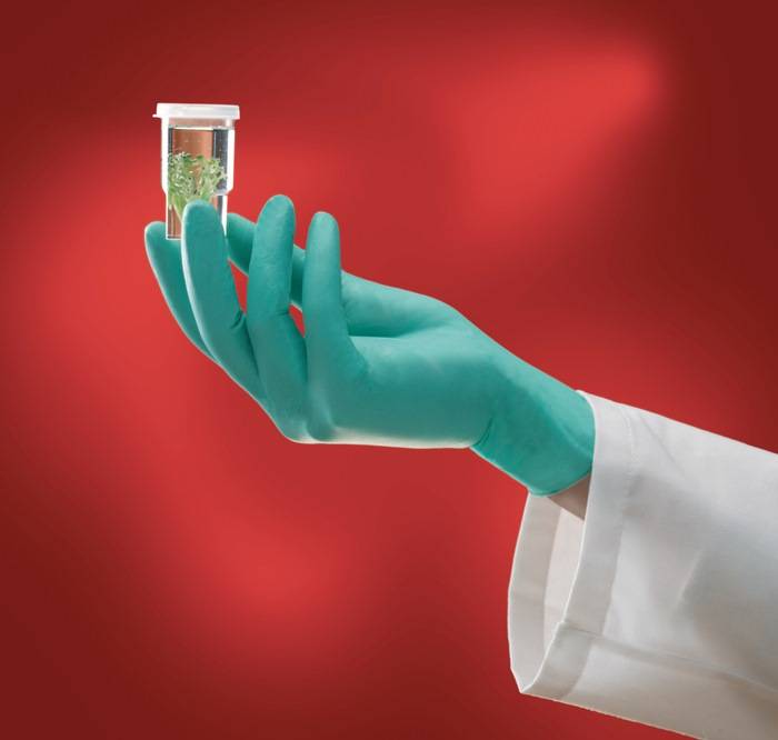 Einw.-Handsch.Microflex NeoTouch® 25-101 Gr.9,5-10 hellgrün Neopren 100 St./Box