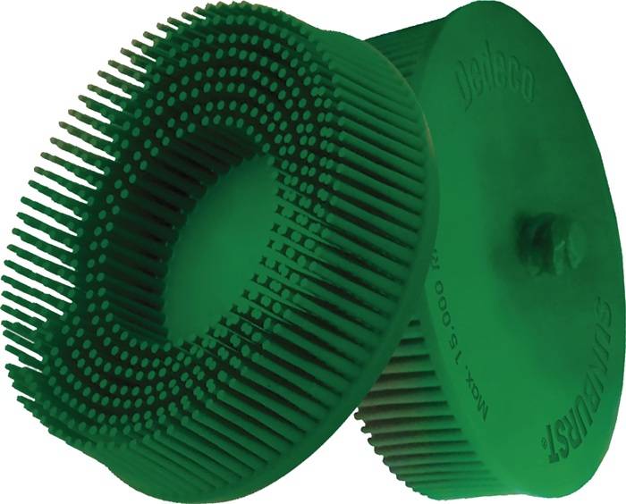 Zwei grüne Borstenscheiben mit feinen Stacheln, die in unterschiedlichen Winkeln angeordnet sind.