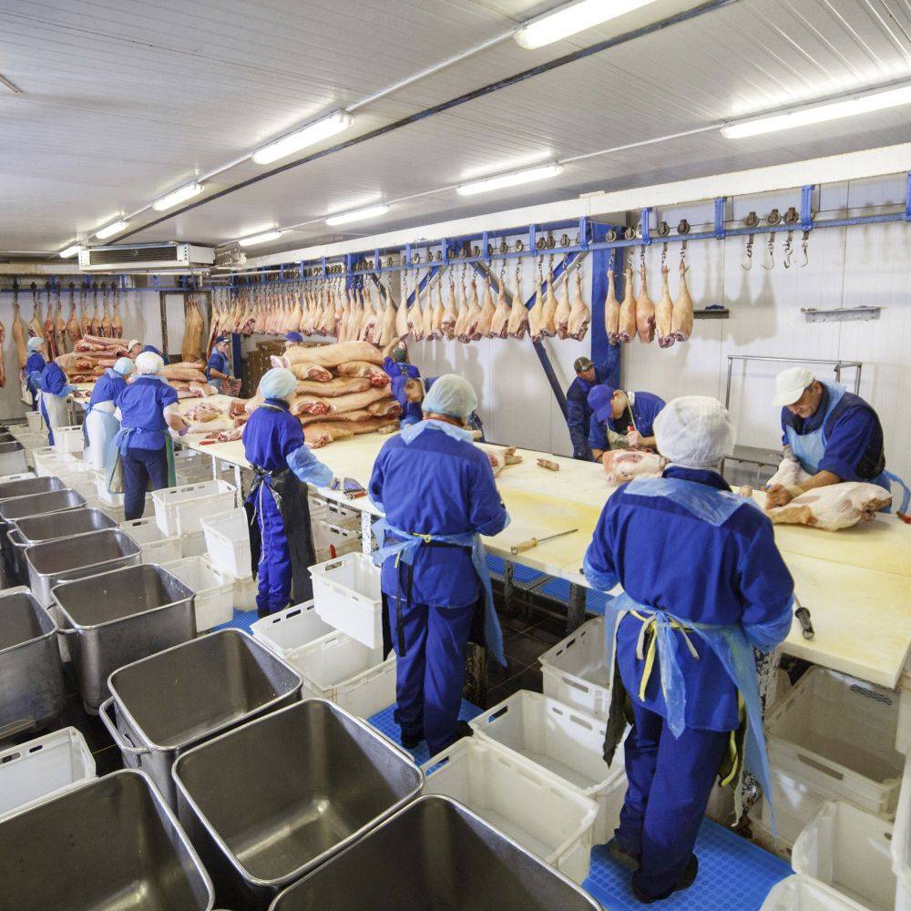 ETERNASOLID Ergonomische Arbeitsplatzmatte, blau, 61 x 46 x 1,3 cm (BxTxH)