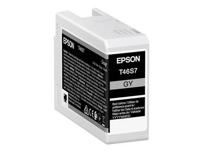 EPSON 5LB Singlepack Gray T46S7 Drucken, Scannen & Verbrauchsmaterial Verbrauchsmaterialien - Tinte
