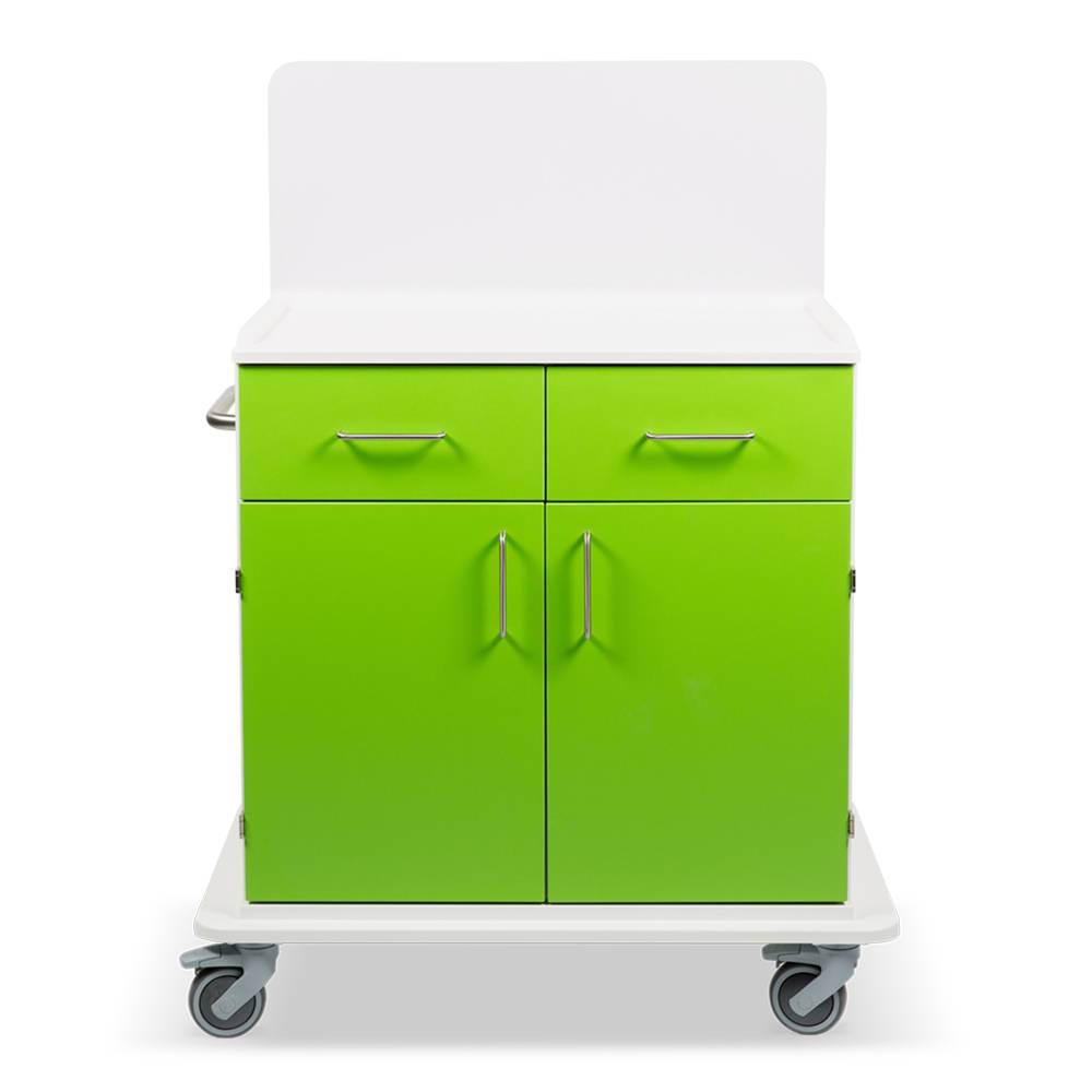 ETERNASOLID MULTICART Multifunktionswagen T21 mit Rückwand, 2 Drehtüren, 2 Schubladen und Schiebegriff, grün