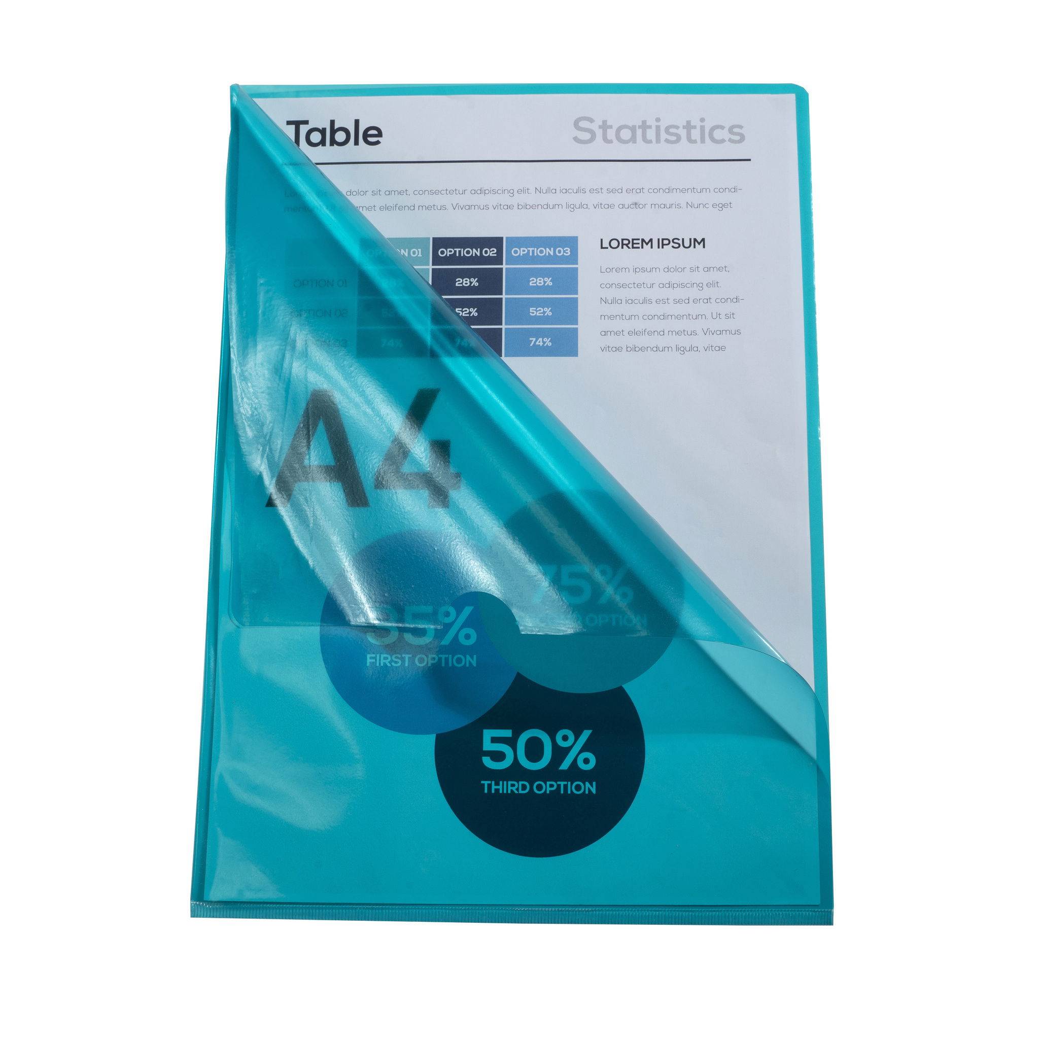 Exacompta 10x Pack 10 Aktensichthüllen glattem festem PVC 130µ A4 Grün 660595E