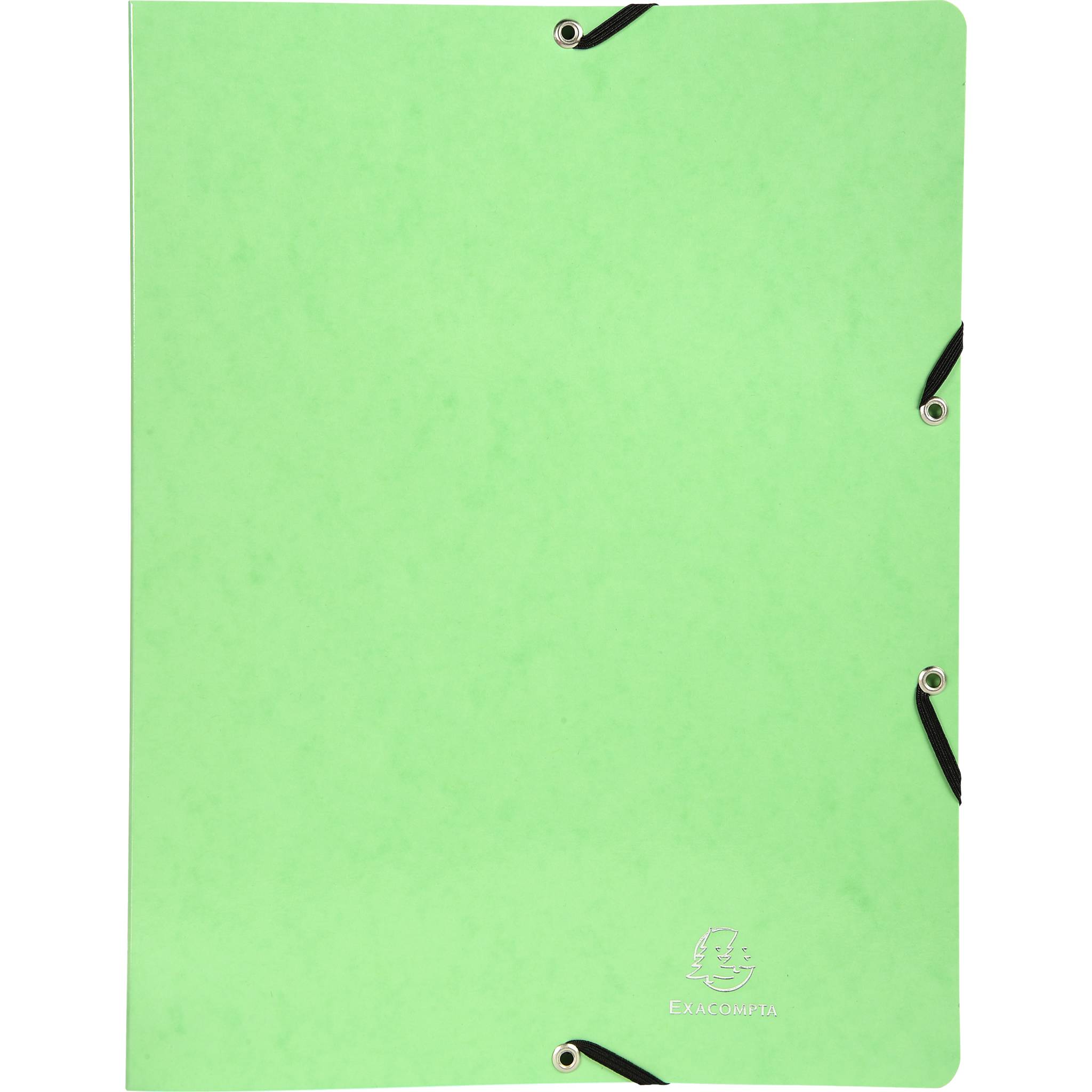Exacompta 20x Ringhefter Gummizug Karton 2Ring Rücken 20mm A4 Anisgrün 54893E