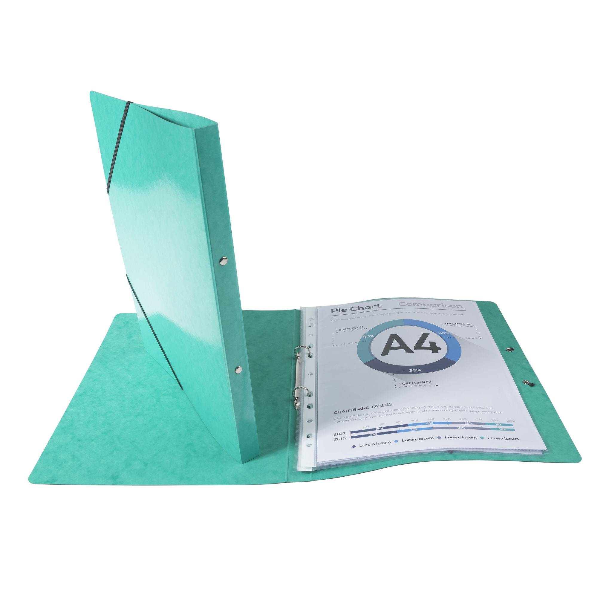 Exacompta 20x Ringhefter Gummizug Karton 2Ring Rücken 20mm A4 Dunkelgrün 54898E