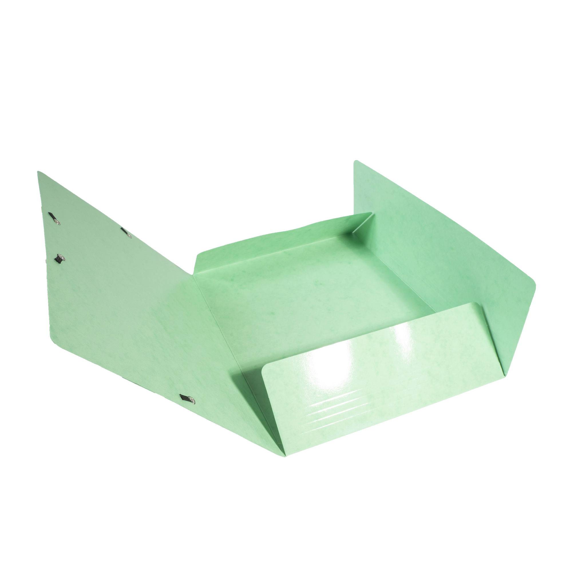 Exacompta 25x Sammelmappe +3 Klappen Gummizug MAXI Karton A4 Anisgrün 55823E