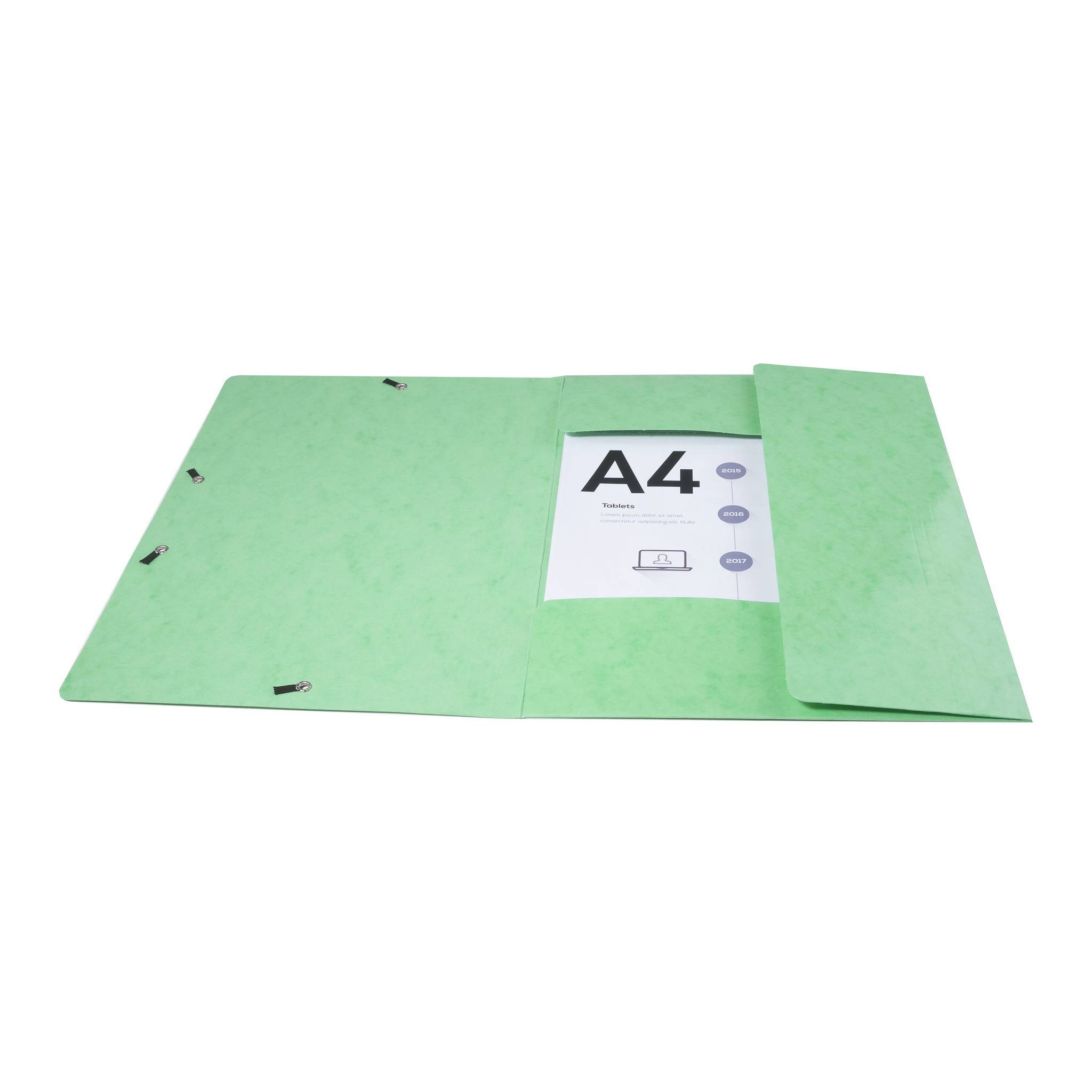 Exacompta 25x Sammelmappe +3 Klappen Gummizug MAXI Karton A4 Anisgrün 55823E