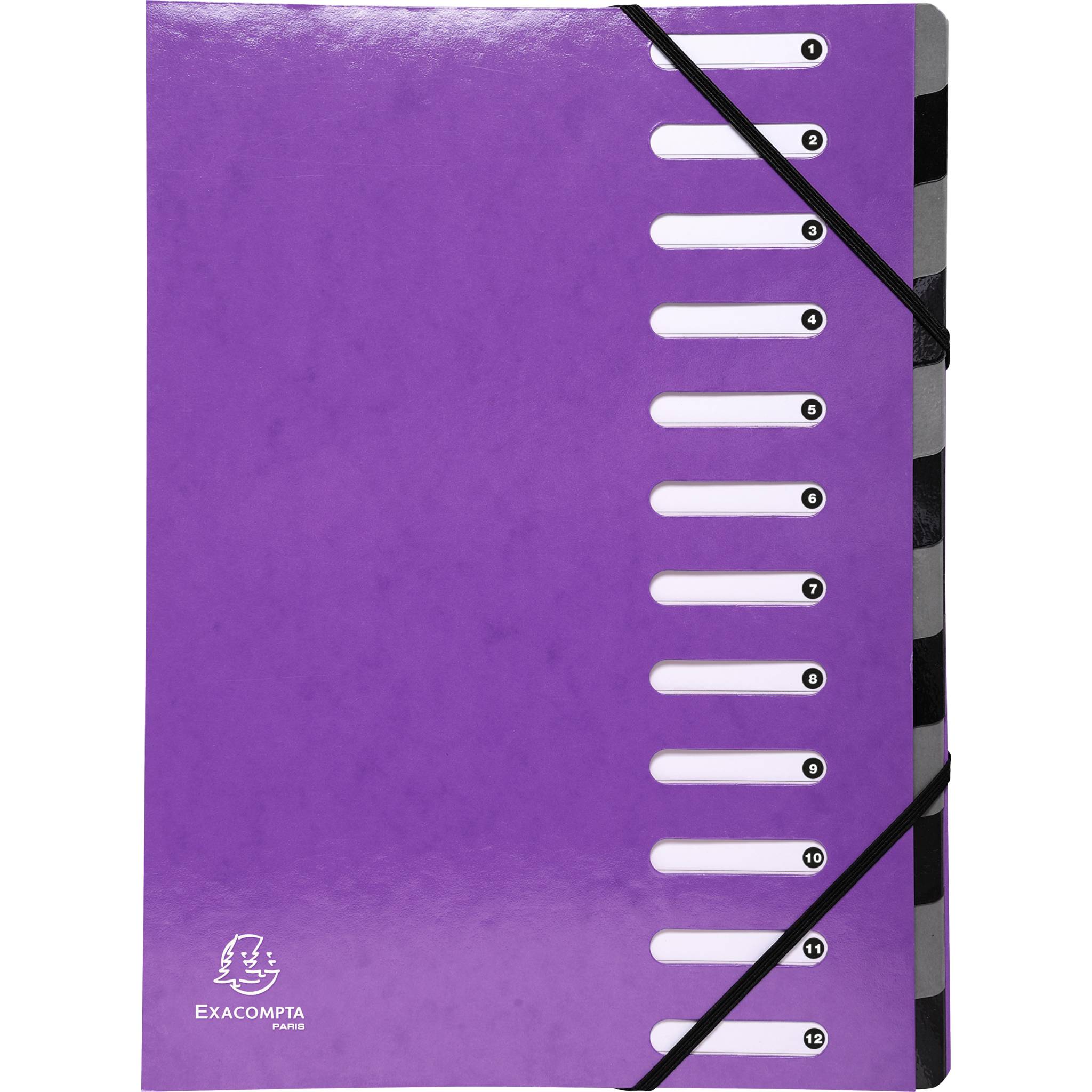 Exacompta 6x Ordnungsmappe Harmonika dehnbar Karton 12 Fächer Violett 53926E