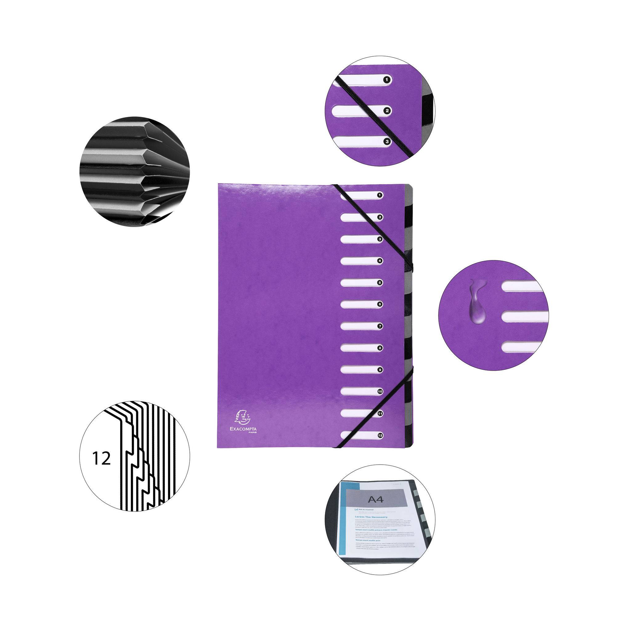 Exacompta 6x Ordnungsmappe Harmonika dehnbar Karton 12 Fächer Violett 53926E