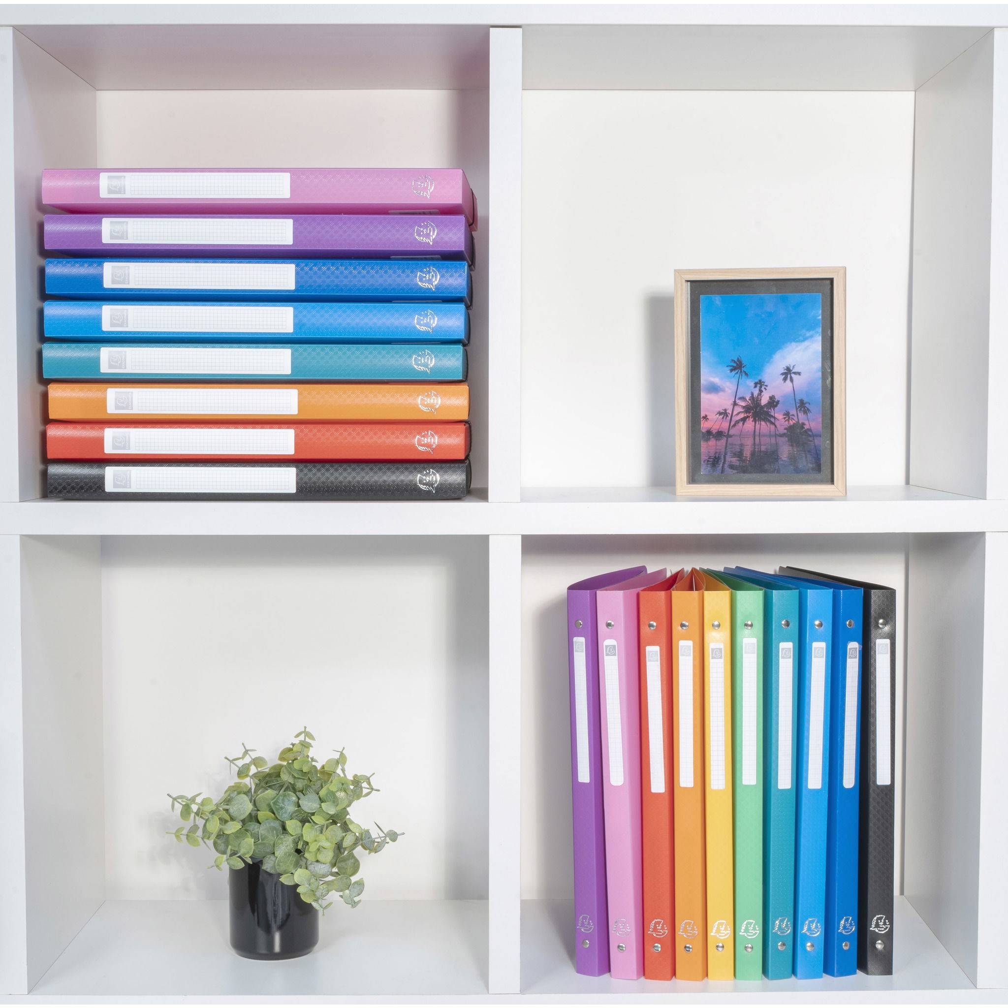 Exacompta 20x Ringbuch PP 500µ 2Ring 15mm Rücken 20mm blickdicht A4 Weiß 54178E