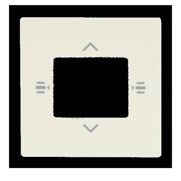 Busch-Jaeger Zentralscheibe elf/ws 6108/61-82