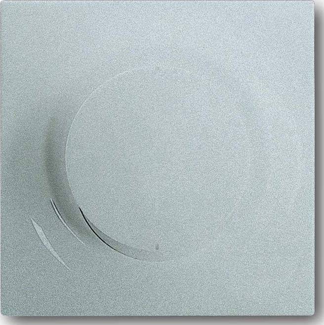 Busch-Jaeger Bedienelement alu/si 6545-783