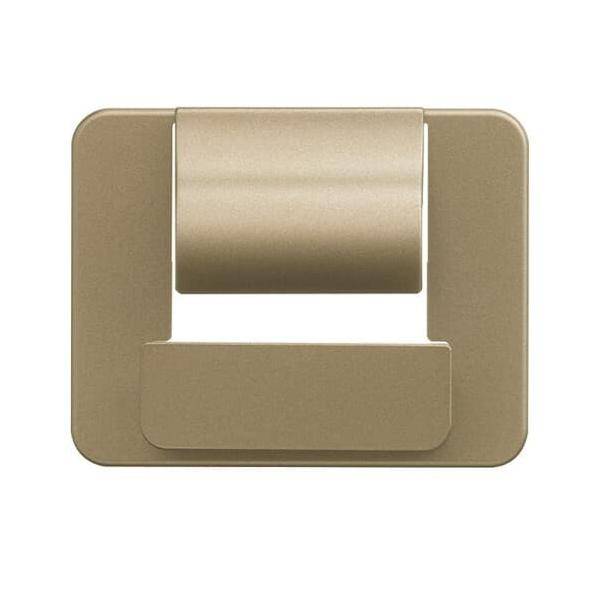 Busch-Jaeger Zentralscheibe bronze 6477-21