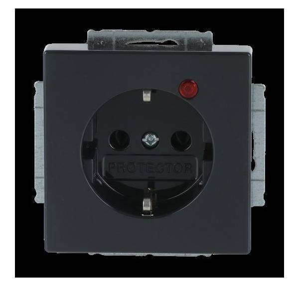 Busch-Jaeger Steckdose 2310 EUGL/VA-81-11