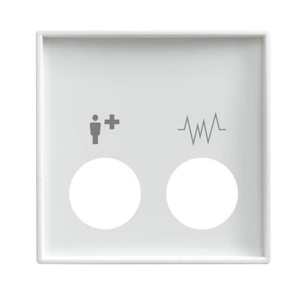 Busch-Jaeger Zentralscheibe alpinws 2548-020 E-914