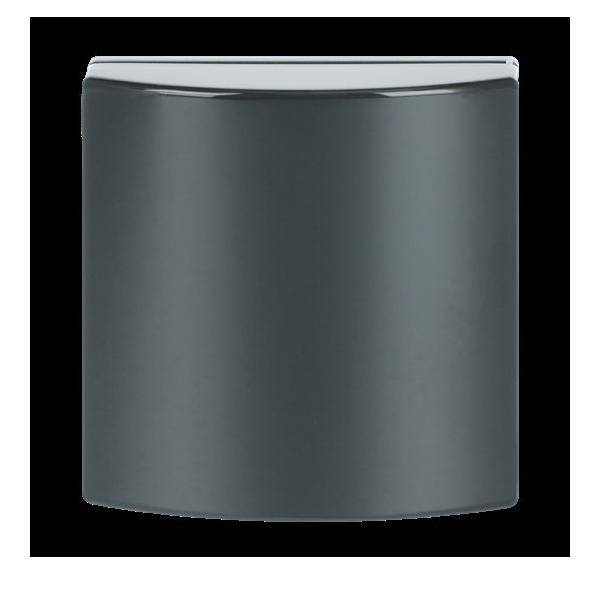 Busch-Jaeger Zentralscheibe anth 1746-81