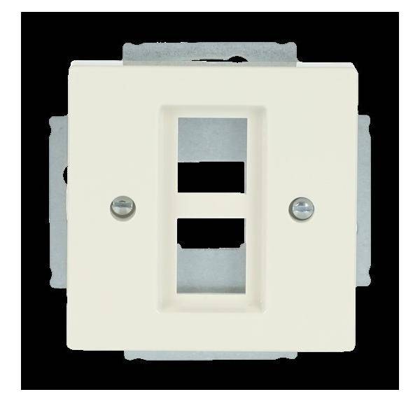 Eine leere Doppelport-Wandabdeckung für Ethernet- oder Telefonanschlüsse mit zwei horizontalen rechteckigen Öffnungen und Montageschrauben.