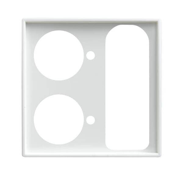 Busch-Jaeger Zentralscheibe alpinws 1790-593-914