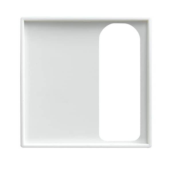 Busch-Jaeger Zentralscheibe alpinws 1790-595-914