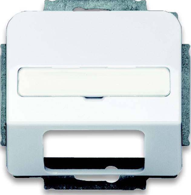 Busch-Jaeger Zentralscheibe sws 1769-24G