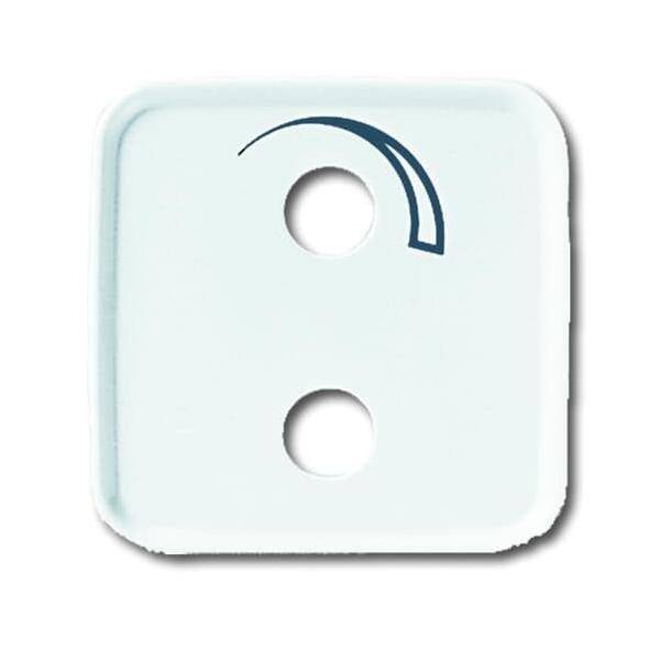 Busch-Jaeger Zentralscheibe aws 2548-214-53 B