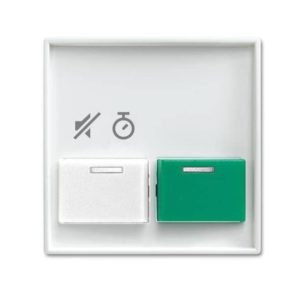 Busch-Jaeger Zentralscheibe alpinws 2548-642 BD-914