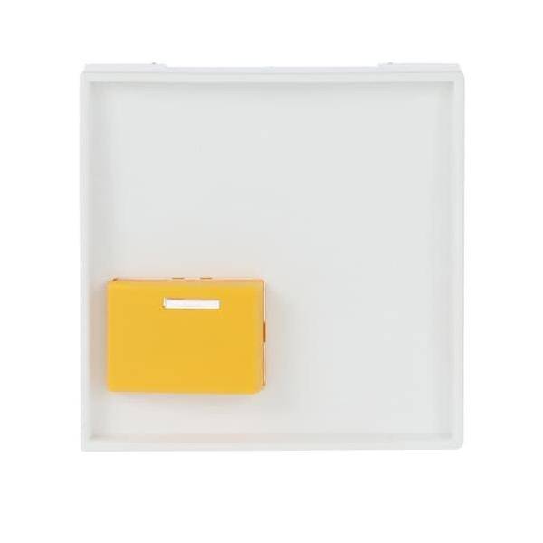 Busch-Jaeger Zentralscheibe studioweiß 2548-642 D-84