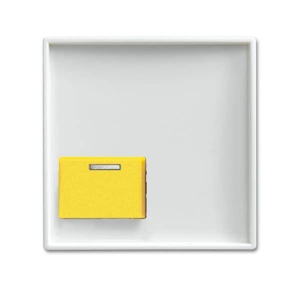 Busch-Jaeger Zentralscheibe alpinws 2548-642 D-914