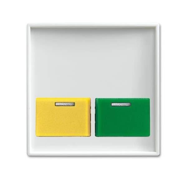 Busch-Jaeger Zentralscheibe alpinws 2548-642 E-914