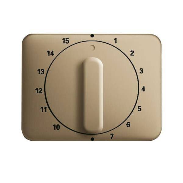 Busch-Jaeger Zentralscheibe brz 1770-21-101