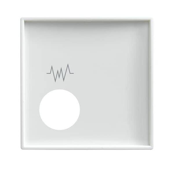 Busch-Jaeger Zentralscheibe alpinws 2548-020 F-914