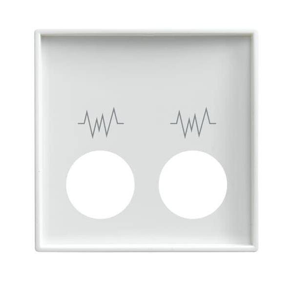 Busch-Jaeger Zentralscheibe alpinws 2548-021 G-914