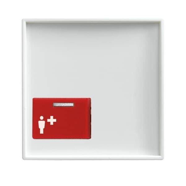 Busch-Jaeger Zentralscheibe alpinws 2548-022 A-914