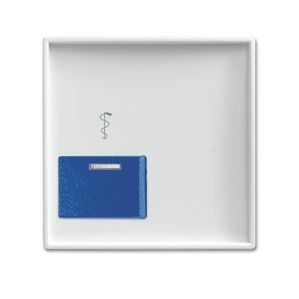 Busch-Jaeger Zentralscheibe alpinws 2548-022 AR-914