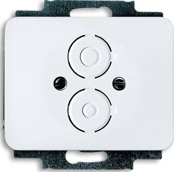 Busch-Jaeger Zentralscheibe stws gl 1748-24G