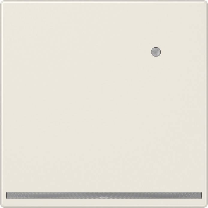 Eine beige Wandplatte mit einem kleinen kreisrunden Knopf und einer schmalen, schlitzartigen Öffnung am unteren Rand.