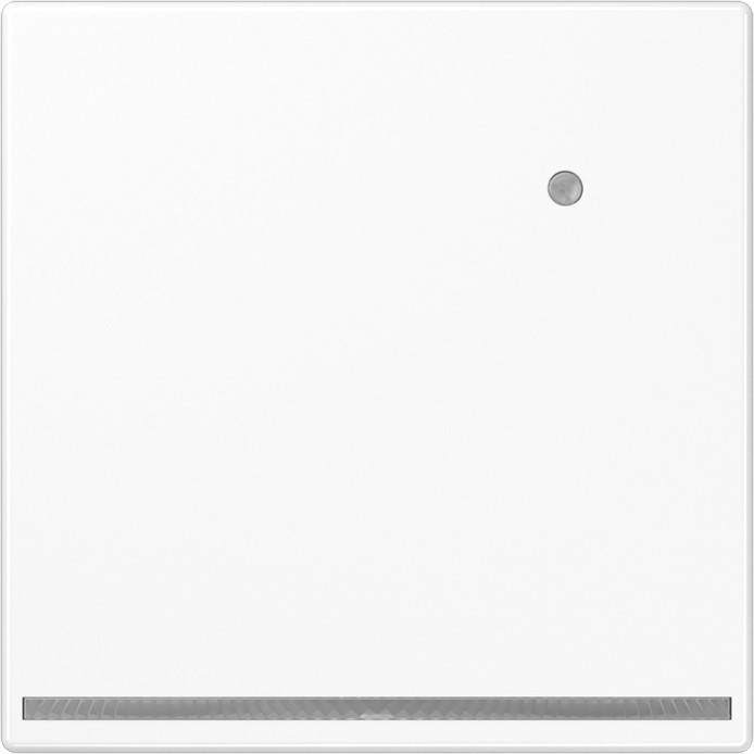 Jung LED-Orientierungslicht LS 1539-O WW LNW