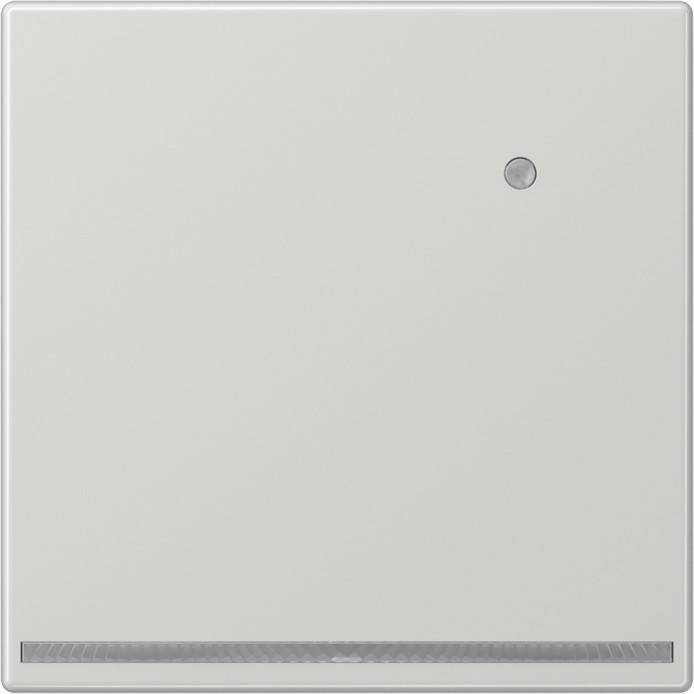 Jung LED-Orientierungslicht LS 1539-O LG LNW