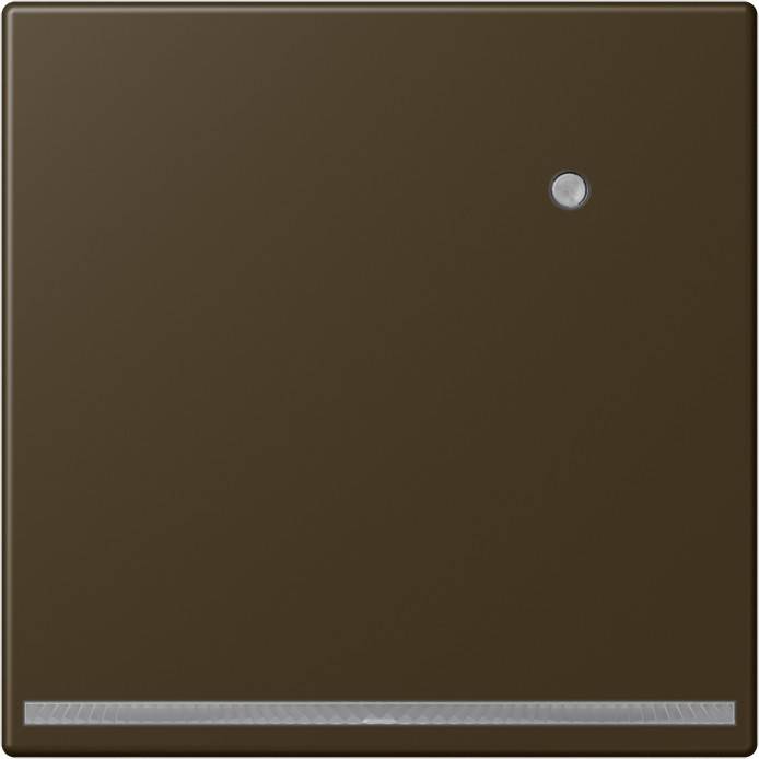 Ein metallischer brauner Quadratdeckel mit einer kleinen kreisförmigen Vertiefung nahe der oberen rechten Ecke, möglicherweise ein Knopf oder ein Indikator.