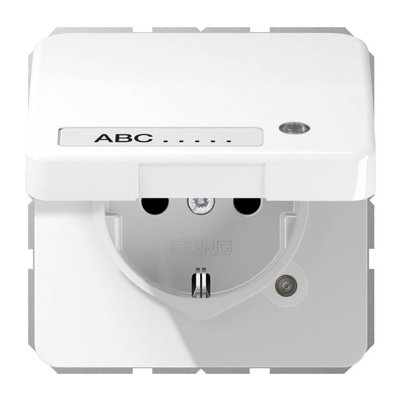 Jung SCHUKO-Steckdose CD 1520 NAKLKO WW