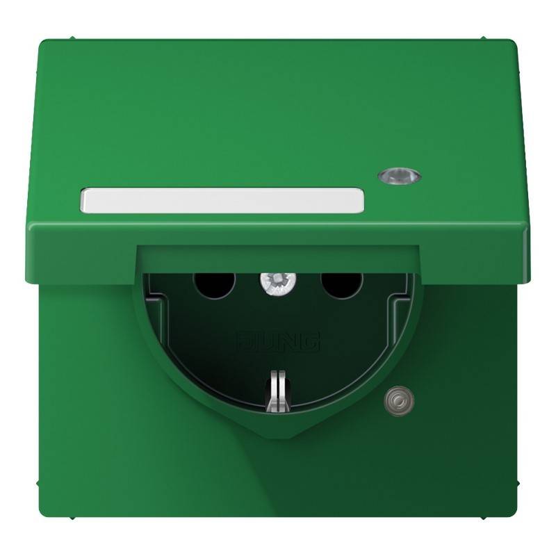Grüne wandmontierte Außenstromverteilerdose mit Schutzdeckel, vorderer Steckdosenanschlussöffnung und Kontrollleuchte