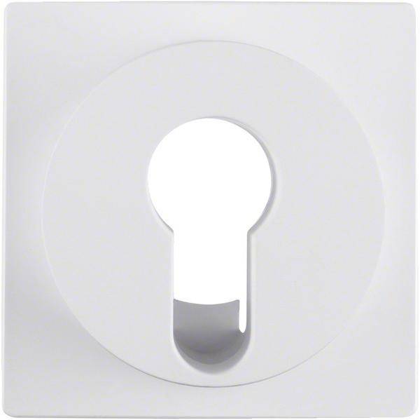 Berker Zentralstück pws 15071909