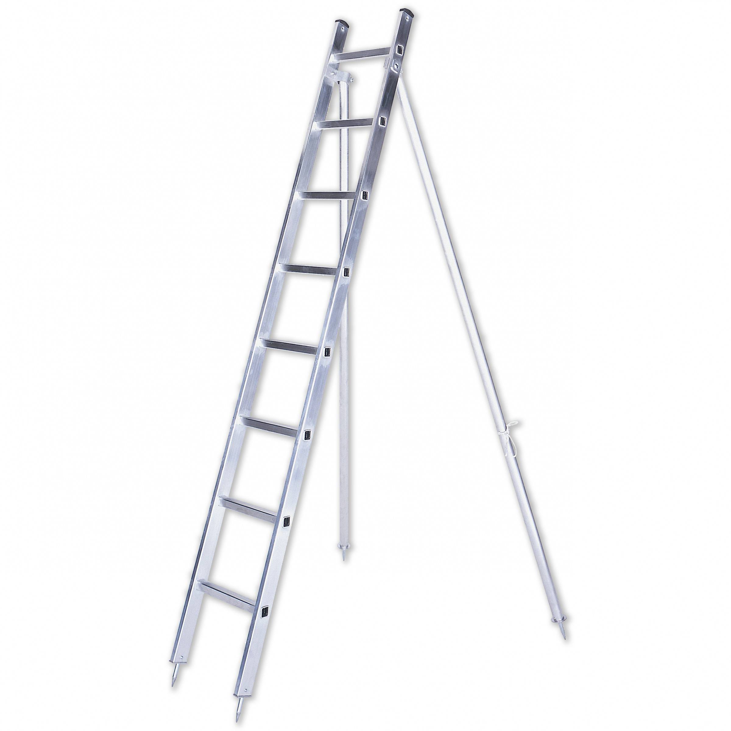 Iller Obstbaumleiter 3,30 AH, 1-teilig mit Stützen und 8 Sprossen