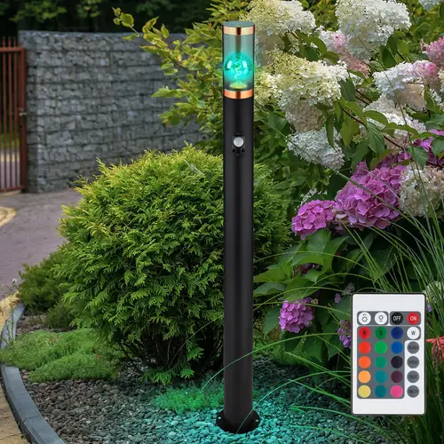 Standleuchte Außenbeleuchtung Stehleuchte mit Bewegungsmelder Garten Edelstahl, dimmbar Fernbedienung, 1x RGB LED 8,5W 806Lm warmweiß, DxH 7,6x110 Standleuchte Außenbeleuchtung Stehleuchte mit Bewegungsmelder Garten Edelstahl, dimmbar Fernbedienung, 1x RGB LED 8,5W 806Lm warmweiß, DxH 7,6x110
