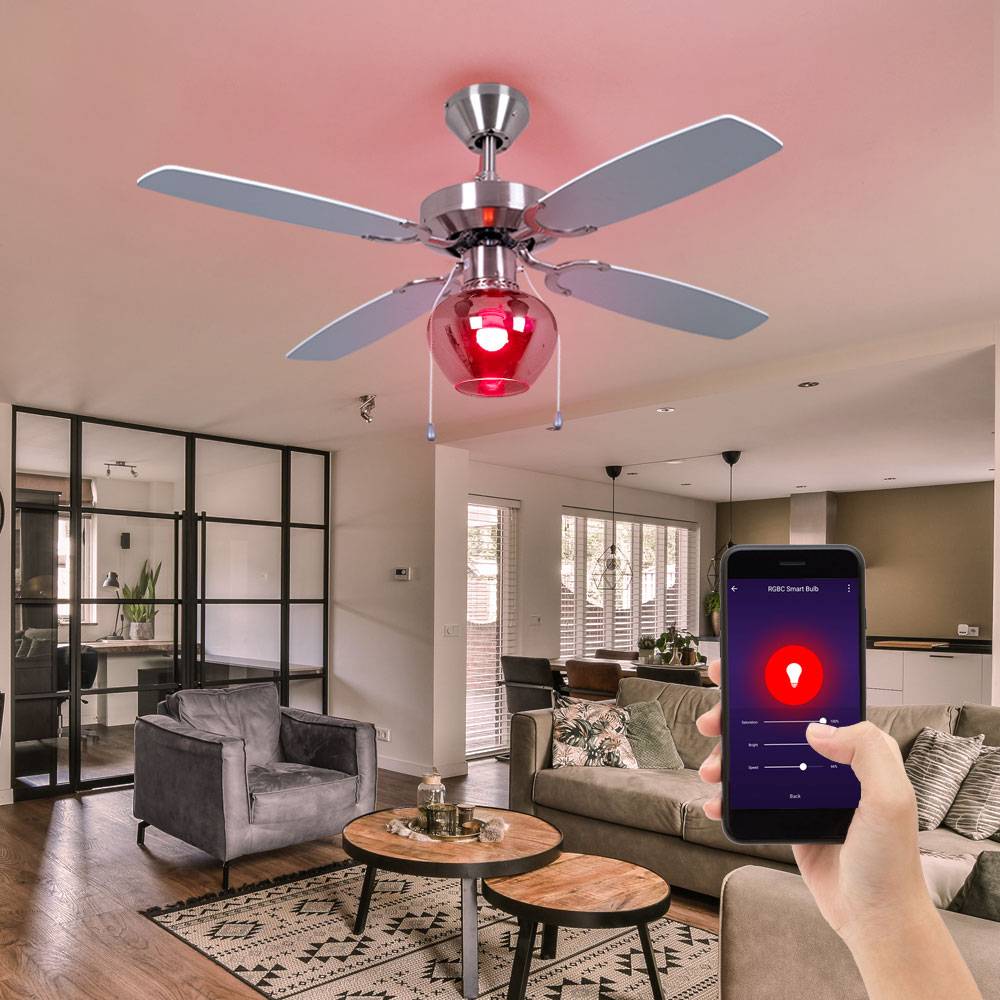 Deckenventilator Deckenleuchte Ventilator Wohnzimmerlampe Lüfter Glas rauchfarben, 3 Stufen Zugschalter, App Steuerung, Smart RGB LED 8,5W 806Lm
