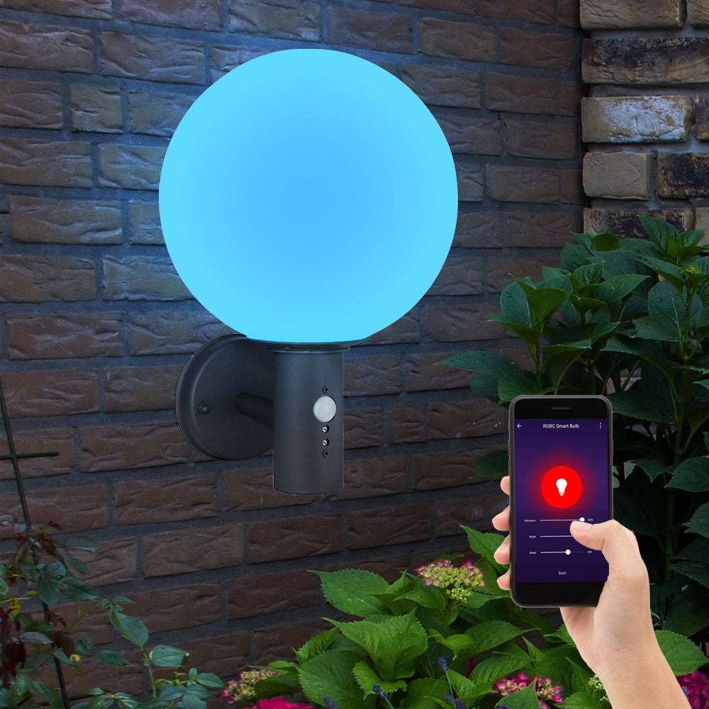 Außenleuchte Wandleuchte mit Bewegungsmelder Gartenleuchte Edelstahl Fassadenleuchte, Glaskugel weiß anthrazit, App Steuerung, Smart RGB LED 10W 806