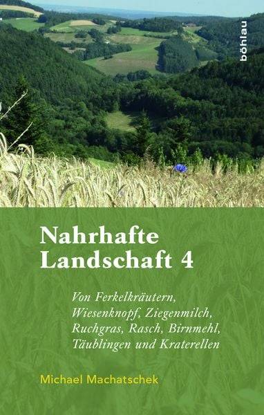 Nahrhafte Landschaft 4