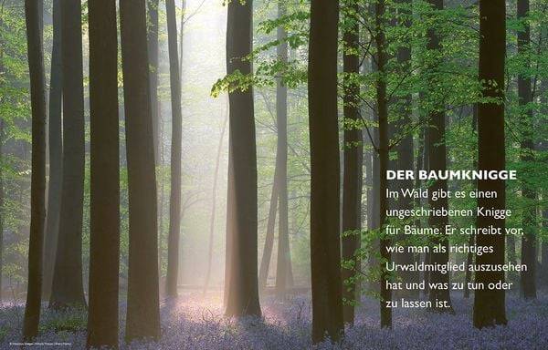 Das geheime Leben der Bäume