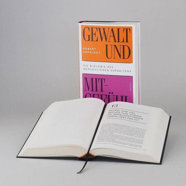 Gewalt und Mitgefühl